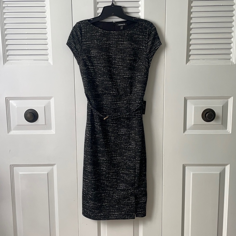 Express Speckled Dress